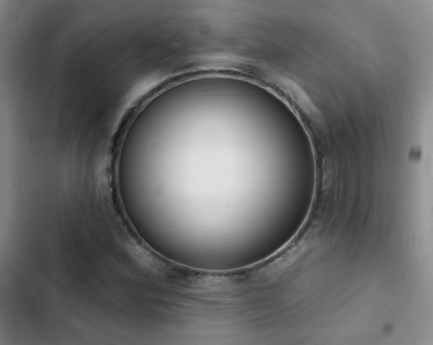 X0000102851164200808181411