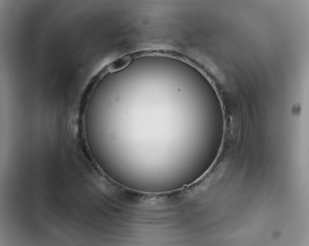 X0000102851165200808181411