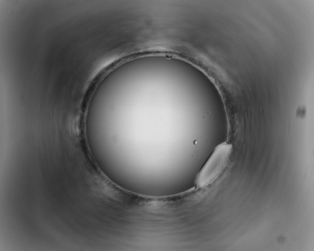 X0000102851166200808181411
