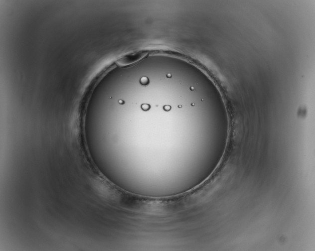 X0000102851167200808181411