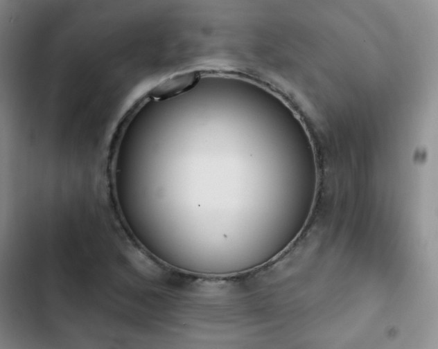 X0000102851168200808181411