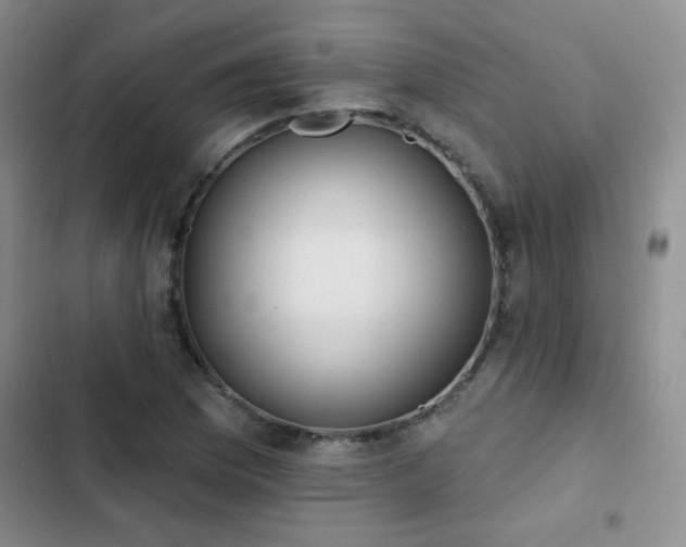 X0000102851169200808181411