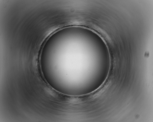 X0000102851170200808181411