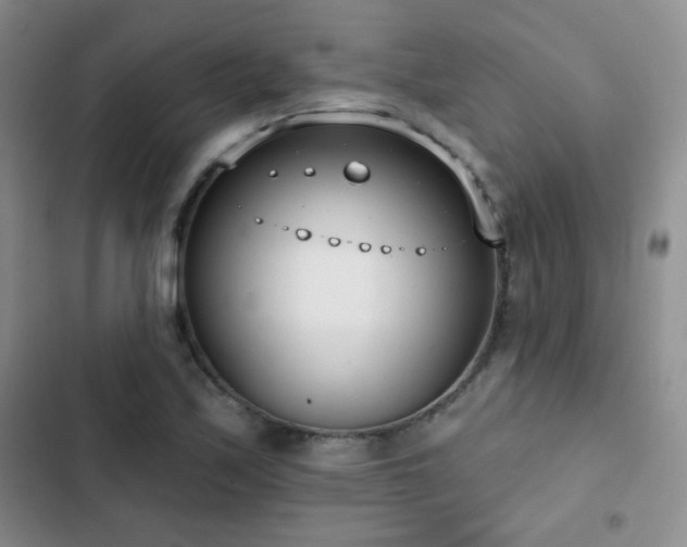 X0000102851171200808181411