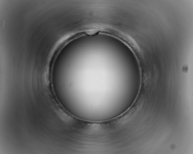 X0000102851172200808181411