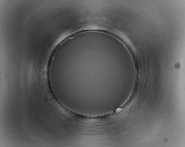 X0000102851173200808181411