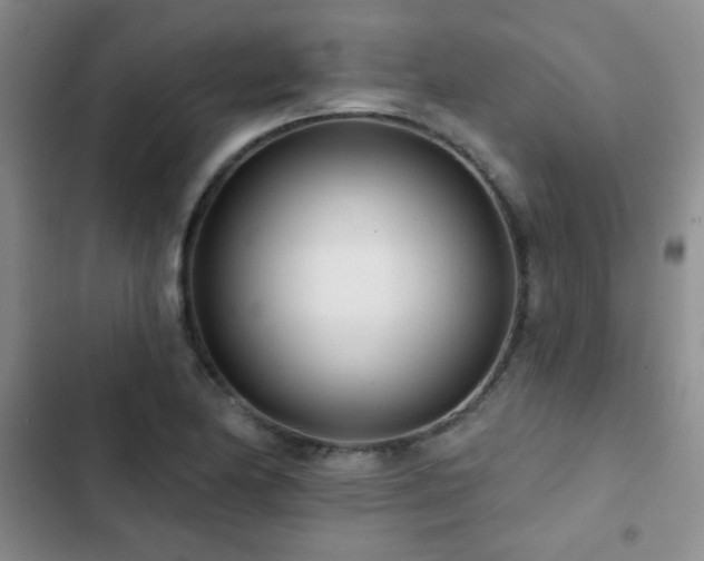 X0000102851174200808181410