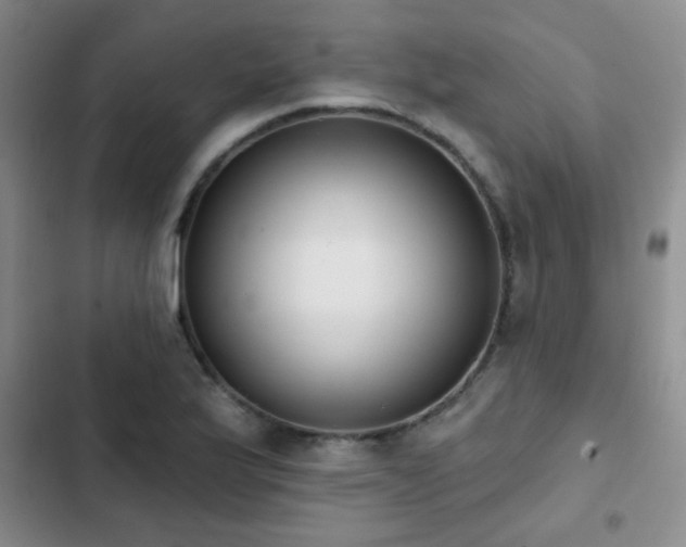 X0000102851175200808181410