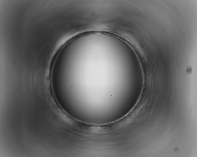 X0000102851176200808181410