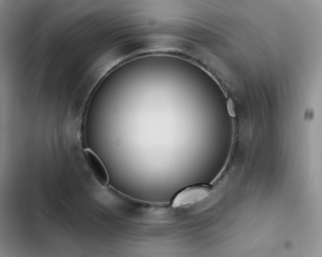 X0000102851177200808181410