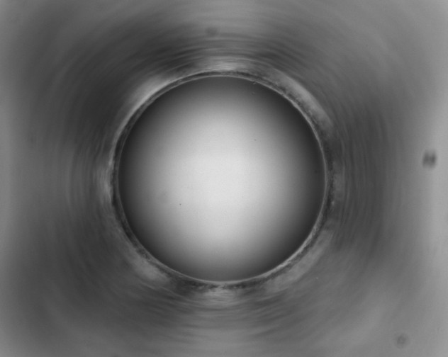 X0000102851178200808181410