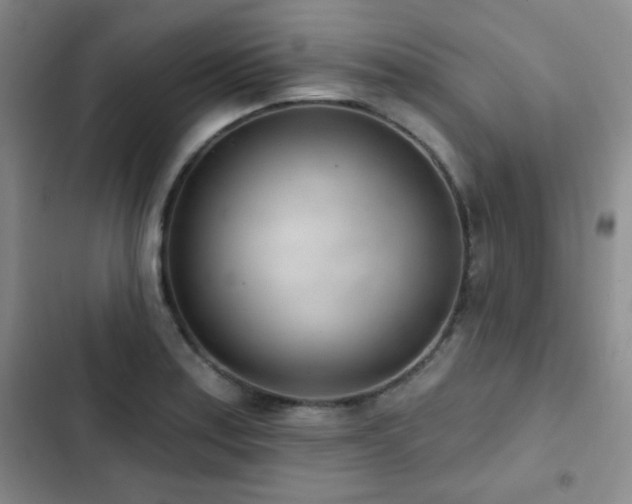 X0000102851179200808181410