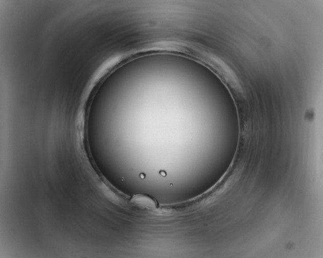 X0000102851180200808181410