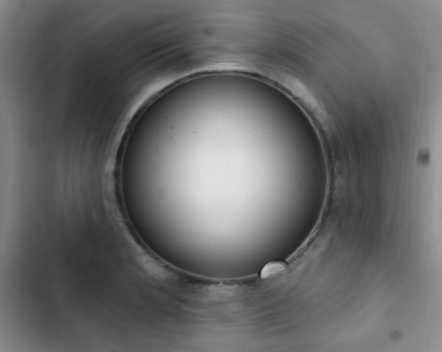 X0000102851181200808181410