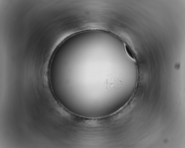 X0000102851182200808181410