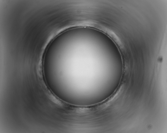 X0000102851184200808181410