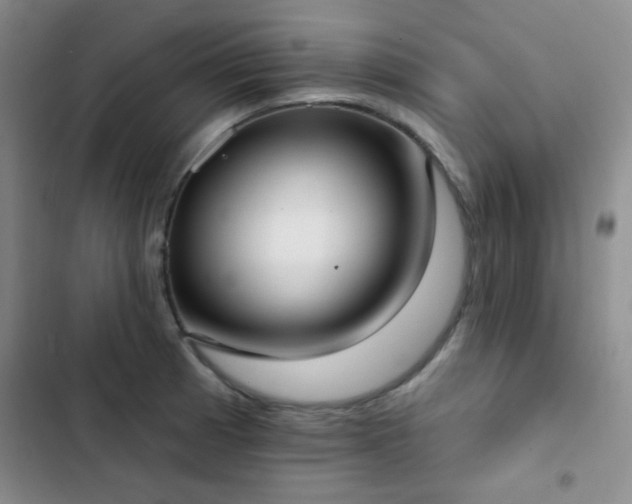 X0000102851185200808181410