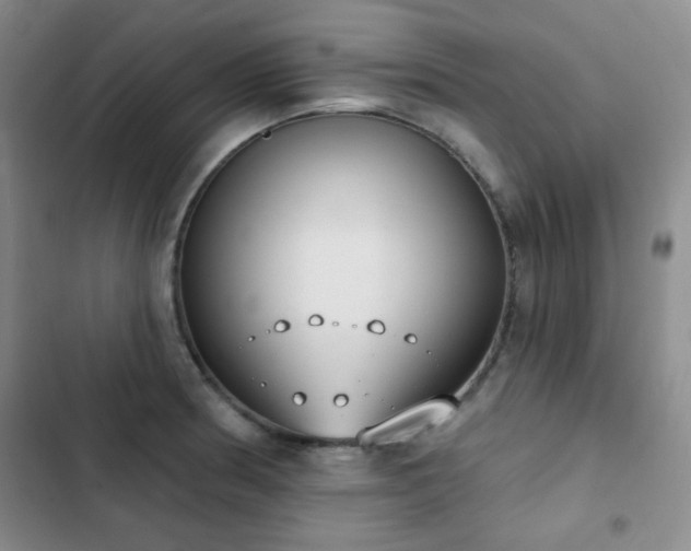 X0000102851186200808181410