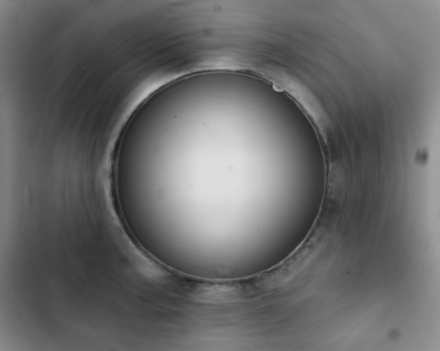 X0000102851187200808181410