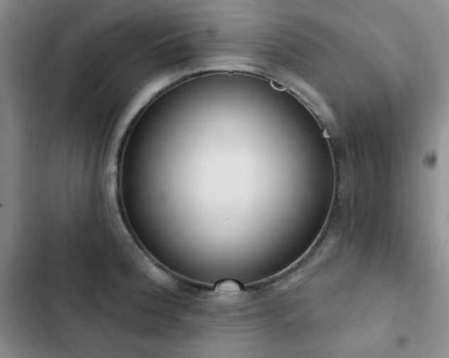 X0000102851188200808181410