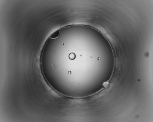 X0000102851189200808181410