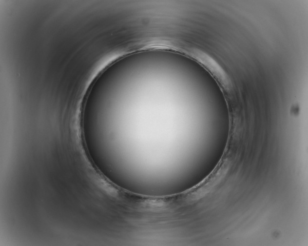 X0000102851190200808181410