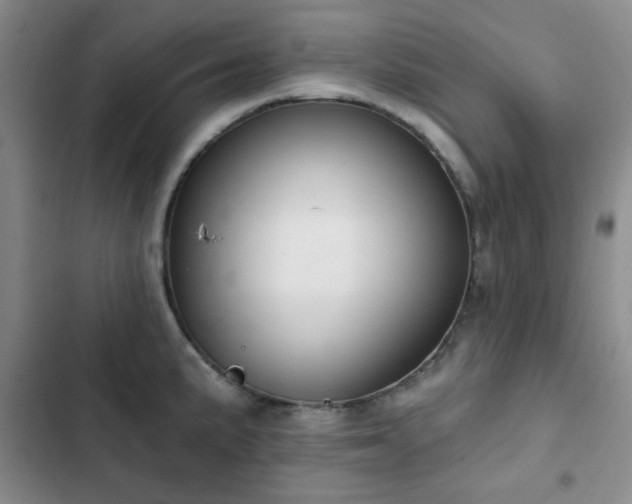 X0000102851191200808181410