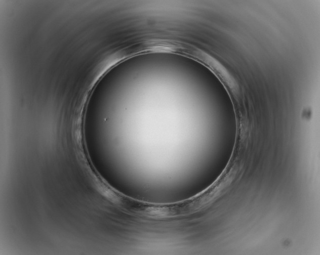 X0000102851194200808181410