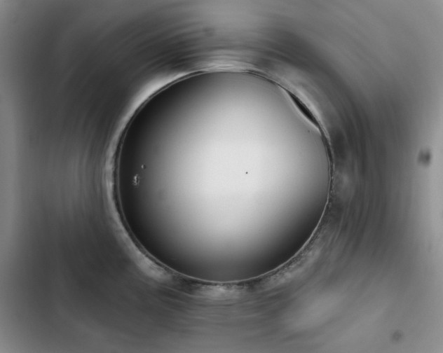 X0000102851195200808181410