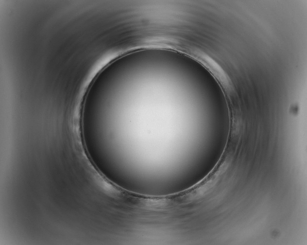 X0000102851196200808181410