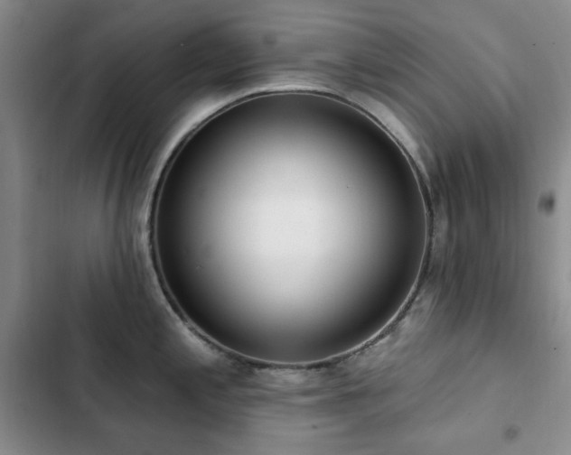 X0000102851197200808181410