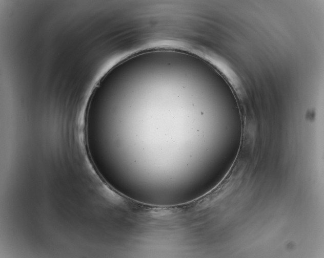 X0000102851199200808181410