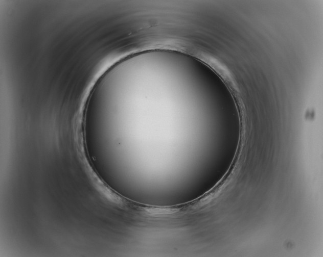 X0000102851200200808181410