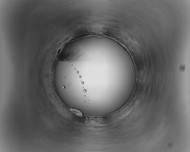 X0000102851201200808181409