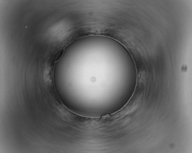 X0000102851202200808181409