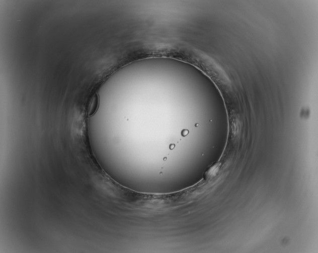 X0000102851204200808181409