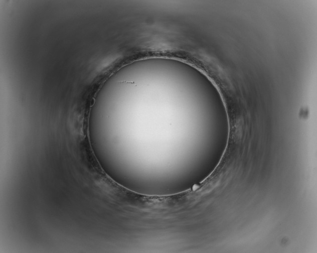X0000102851205200808181410