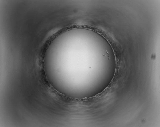 X0000102851207200808181410