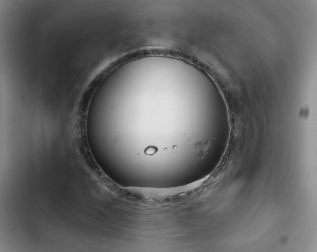 X0000102851208200808181410