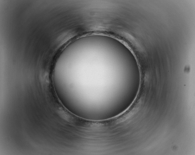X0000102851209200808181410