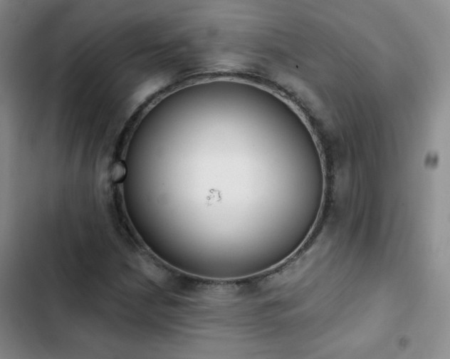 X0000102851210200808181410