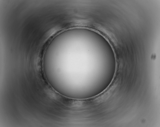 X0000102851211200808181410