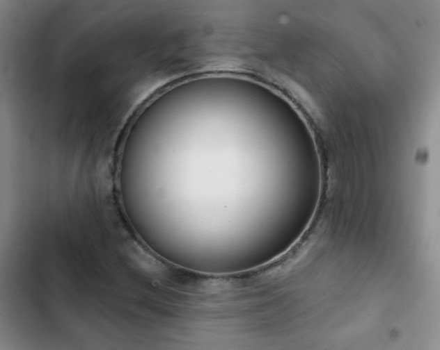 X0000102851212200808181410