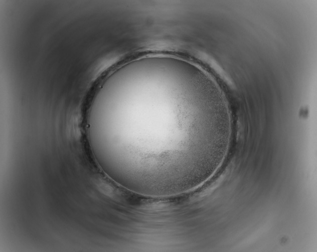 X0000102851213200808181410
