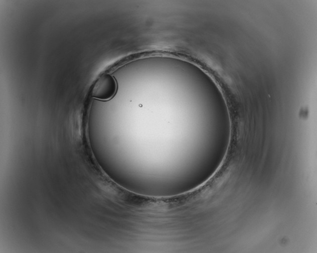 X0000102851214200808181410