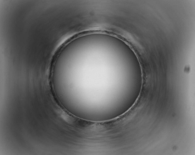 X0000102851216200808181410