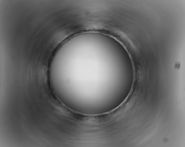 X0000102851217200808181410