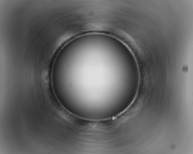 X0000102851218200808181410