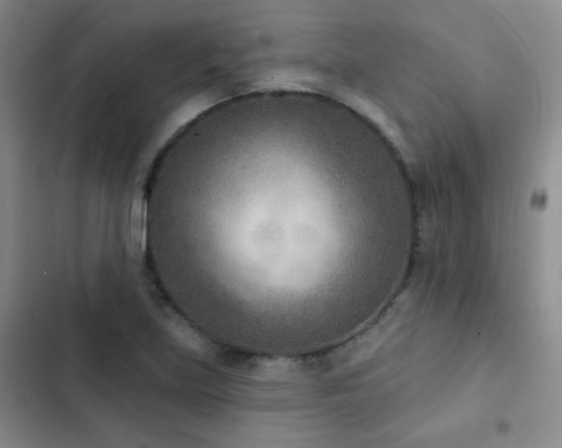 X0000102851219200808181410