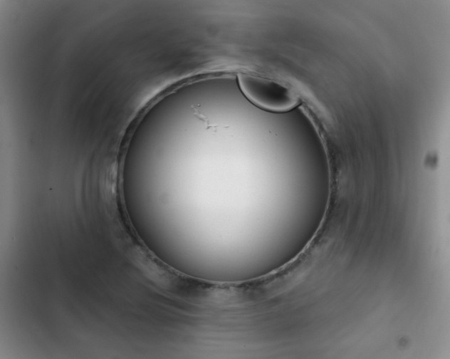 X0000102851220200808181410